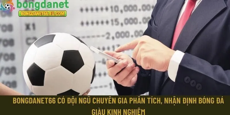  chuyên gia phân tích