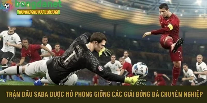 Các trận đấu SABA